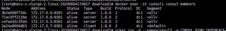 docker部署ceph集群 多MDS docker consul集群_consul_06