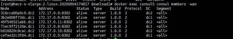 docker部署ceph集群 多MDS docker consul集群_docker_11