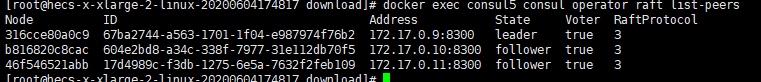 docker部署ceph集群 多MDS docker consul集群_docker_16