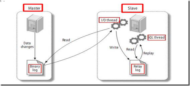 Java 主从库的使用 主从数据库_数据库