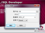 sqlcl java环境变量 sql developer环境变量的配置_sqlcl java环境变量_06