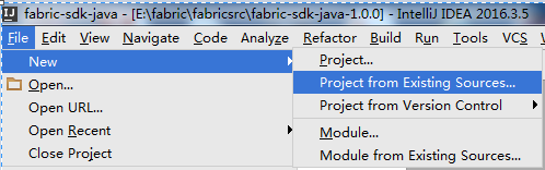 fabric安装java链码 fabric-sdk-java_开发工具_03