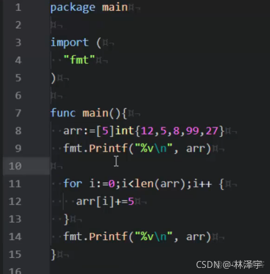 go语言 比较数组循环 golang for循环_for循环_09