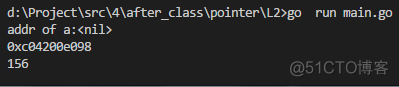 go语言指针和引用 go 函数指针_内存地址_03