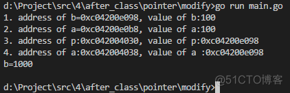 go语言指针和引用 go 函数指针_go语言指针和引用_09