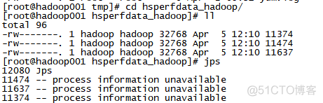 hadoop jps指令 jps命令在hadoop中做了什么_hadoop_05