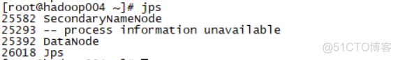 hadoop jps指令 jps命令在hadoop中做了什么_hadoop_06