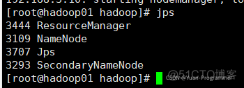 hadoop yarn的配置文件 hadoop配置文件在哪_java_09