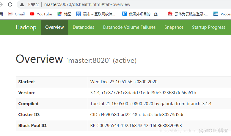 hadoop 无法访问页面 hdfs页面无法访问_Server_04