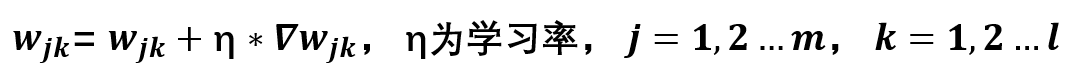 神经网络的输出 标签 神经网络输出表达式_神经网络的输出 标签_23