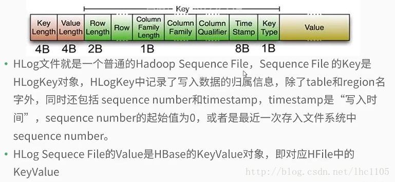 hbase中的目录结构 hbase的storefile_大数据_07