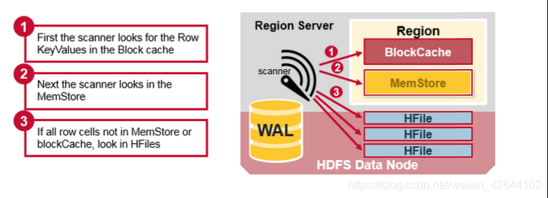 hbase的typecode是什么 hbase tidb_时间戳_06