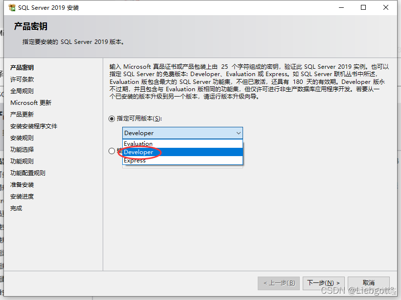 sql server2019下载 sqlserver2019下载哪个_sql server2019下载_05