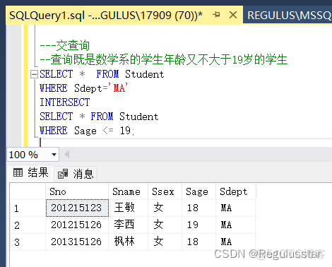 sql server 怎麼查ROWNUM sql server 数据查询_sql_15