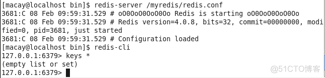 redis加载持久化文件 redis持久化目录_Redis_11