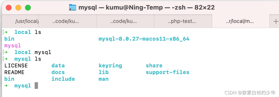 mac下载mysql安装卡住了 mac上安装mysql 8.0安装_Windows_21