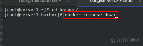 docker双网卡 双网卡 docker_Docker_02