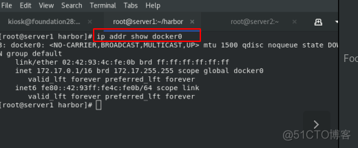 docker双网卡 双网卡 docker_docker_09