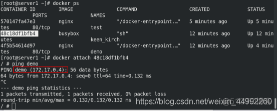 docker双网卡 双网卡 docker_Docker_48