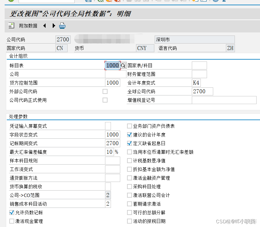 子公司架构图怎么做 子公司怎么设计_SAP_08