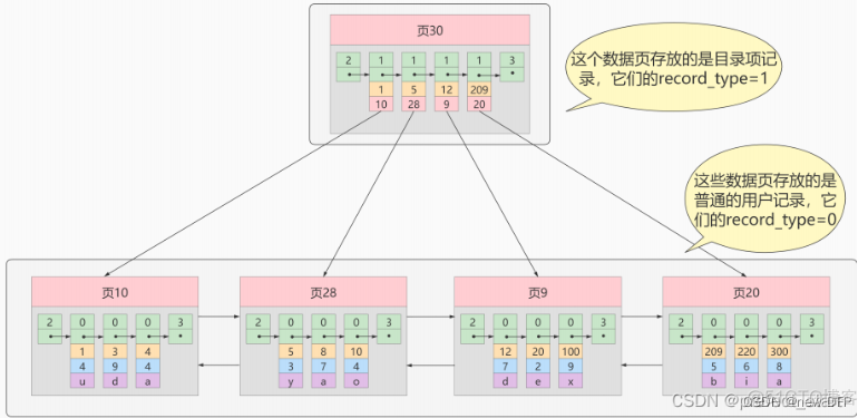 mysql中的索引在磁盘中如何存储的 mysql索引存储结构深入理解_聚簇索引_08