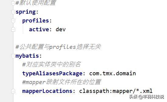 spring boot mybatis 集成 clickHouse spring boot mybatis 整合_springboot mybatis_03