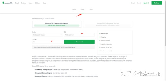 mongodb用哪个版本 线上 mongodb下载哪个版本_Windows_03