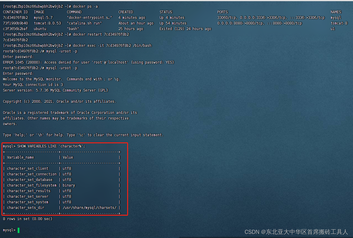 docker 手动下载image docker 下载软件_容器_07