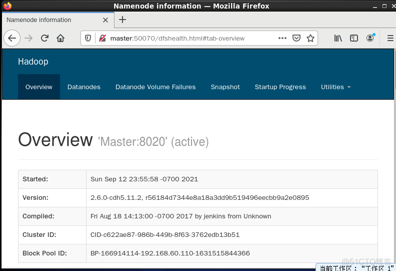 hadoop 身份认证 simple 用户名密码 hadoop user_java_25