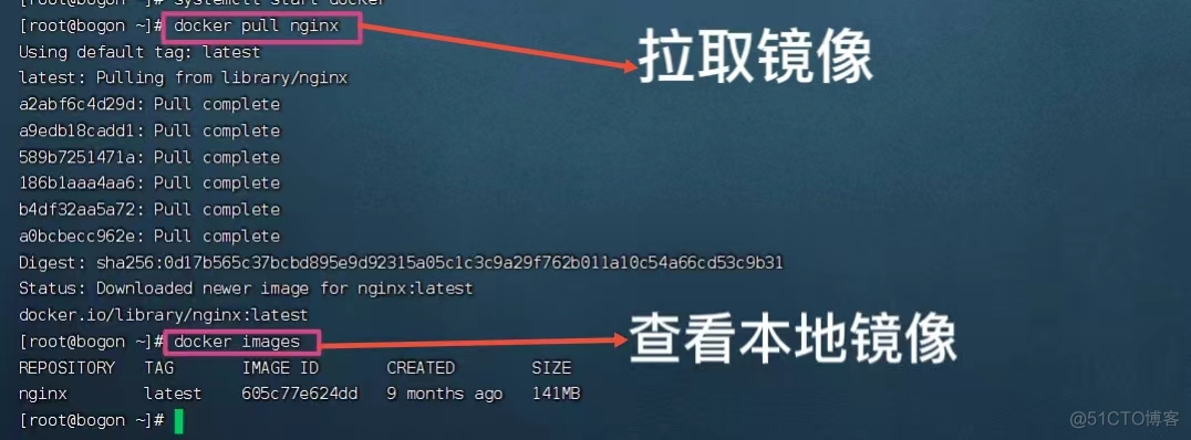 如何使用docker compose部署微服务项目 docker部署微服务集群_集装箱_18