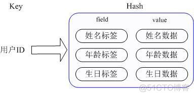 redis 支持的 java 客户端 redis支持哪几种类型_redis 支持的 java 客户端_04