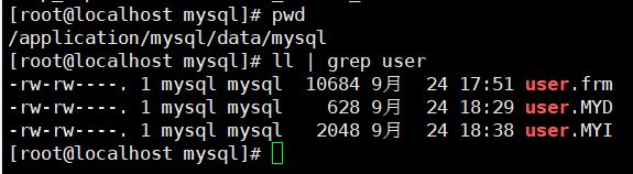 数据库系统mysql物理结构设计 mysql的物理结构包括_数据库系统mysql物理结构设计_02