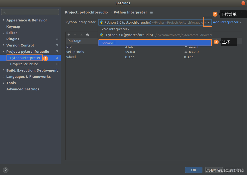 ubuntu2004 pytorch安装 ubuntu下安装pycharm_desktop_04