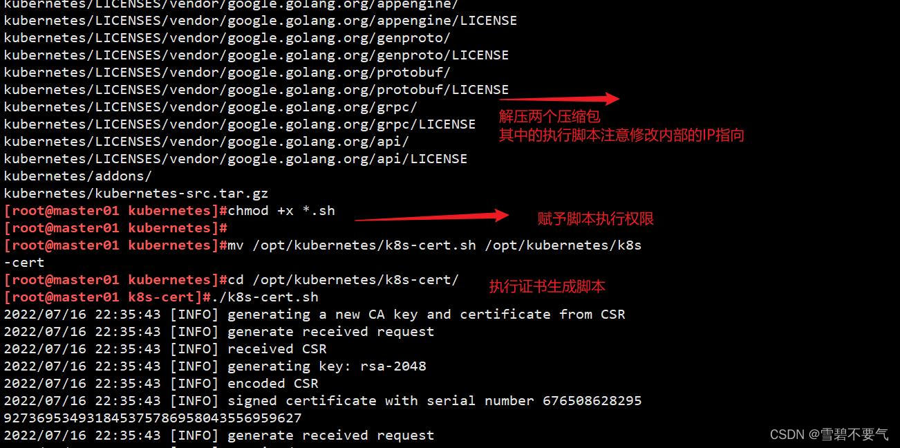 k8s集群使用部署mysql集群 k8s多master的集群结构_容器_10