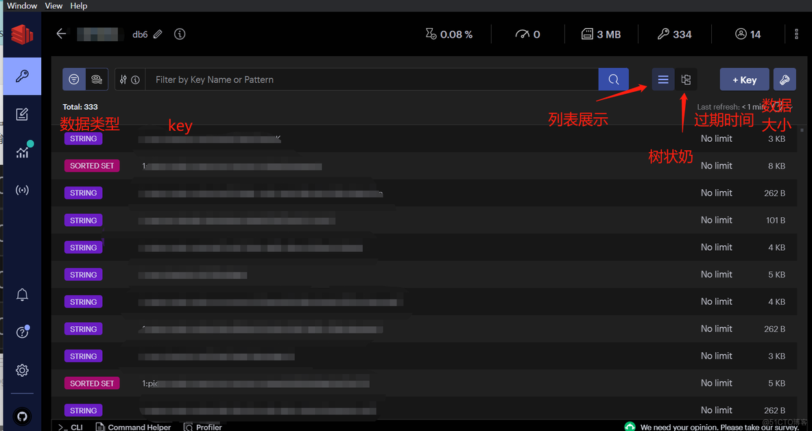 Mac RedisInsight中文汉化 redis insight 免费_数据库_05
