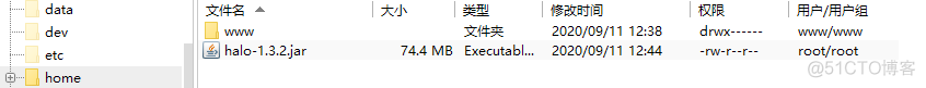 宝塔面板 python 项目管理 一套代码多个项目 宝塔面板部署spring boot项目_云服务_08