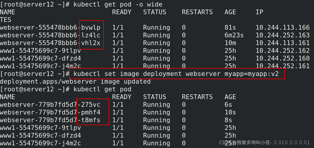 k8s使用docker 进行容器管理 k8s如何管理docker_linux_22