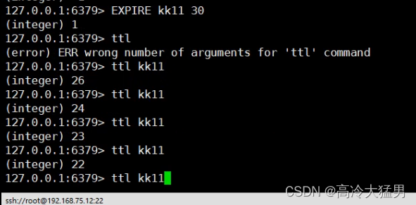 redis中zset的range命令 redis zset命令大全_nosql_15