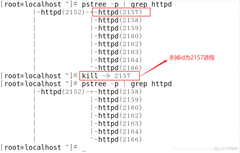 linux强行终止redis进程 linux强制结束进程kill_centos_02