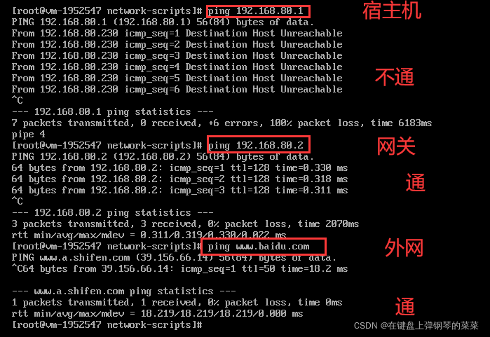 为什么虚拟机使用了静态ip docker 就连不上了 虚拟机设置静态ip后ping不通_DNS_08