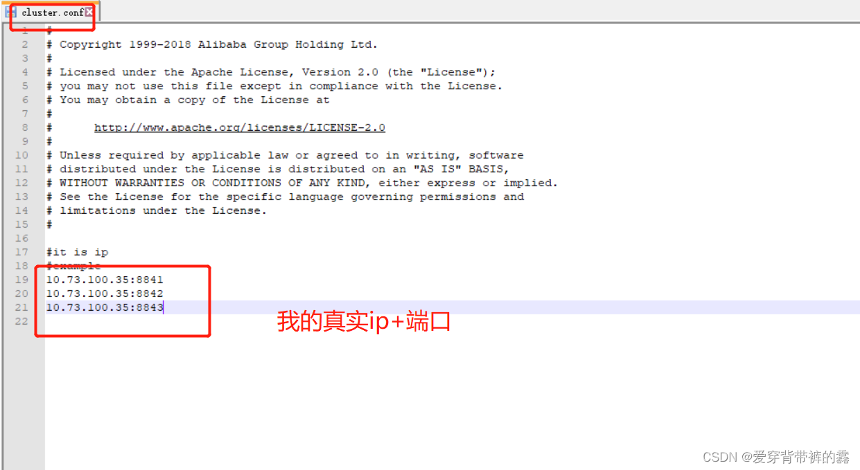 spring cloud nacos docker 配置中心 springcloud的nacos_java_03