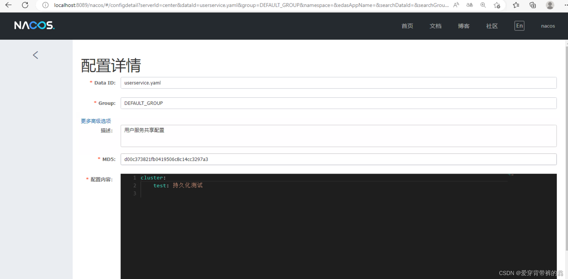 spring cloud nacos docker 配置中心 springcloud的nacos_负载均衡_12