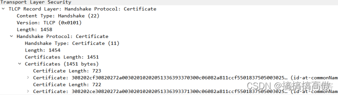 javascript 国密控件 https 国密算法_https_04