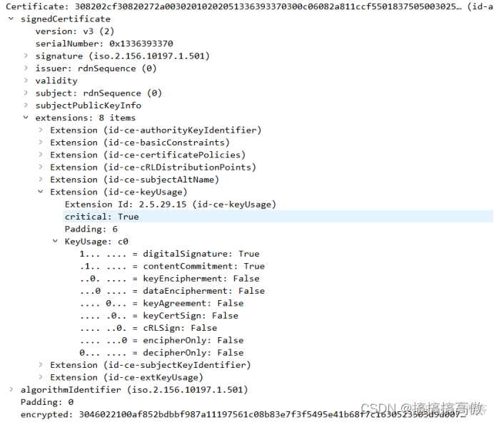 javascript 国密控件 https 国密算法_ssl_05