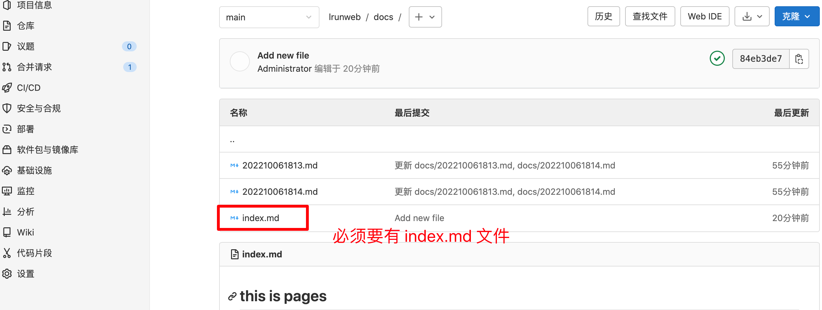 gitlab-- pages 功能实战_docker_06