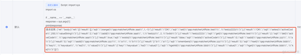 接口测试脚本中运行自定义脚本_测试报告_11