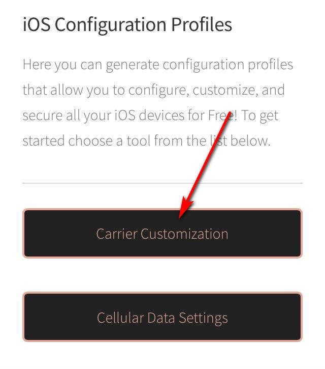 ios12以上更改运营商 iphone12pro运营商设置更新_安卓悬浮框按钮源码_05