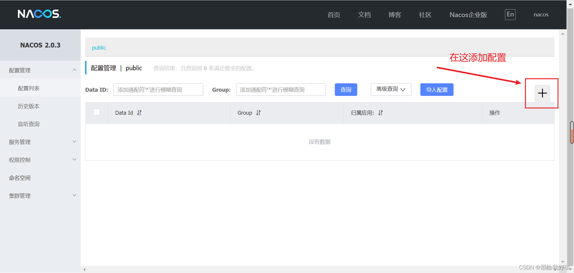 docker安装的nacos启动不了 docker 安装 nacos_springcloud_04