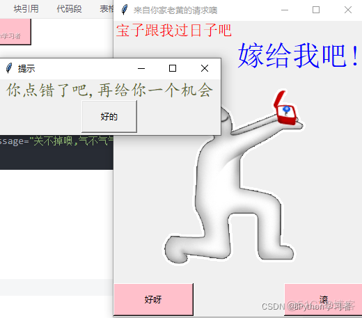 用python写无法拒绝的表白_python_02