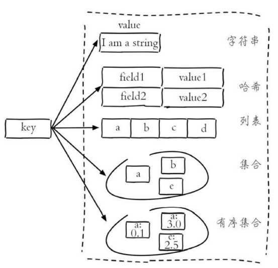 redis 自定义类型 redis值类型_redis 自定义类型_05